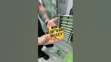 We got to visit ​⁠@Balls2U! #molinarosnakelab #balls2u #reptiles #pythons #animals #tour #snake