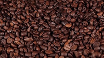 Intro - Nomad Barista Coffee