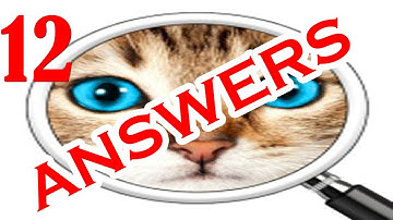 Guess the Pic! 2 ~ Photo Quiz Level 12 - All Answers - Walkthrough