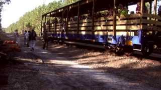 Great Pumpkin Express