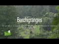 Berchigranges Gardens (Vosges east France)