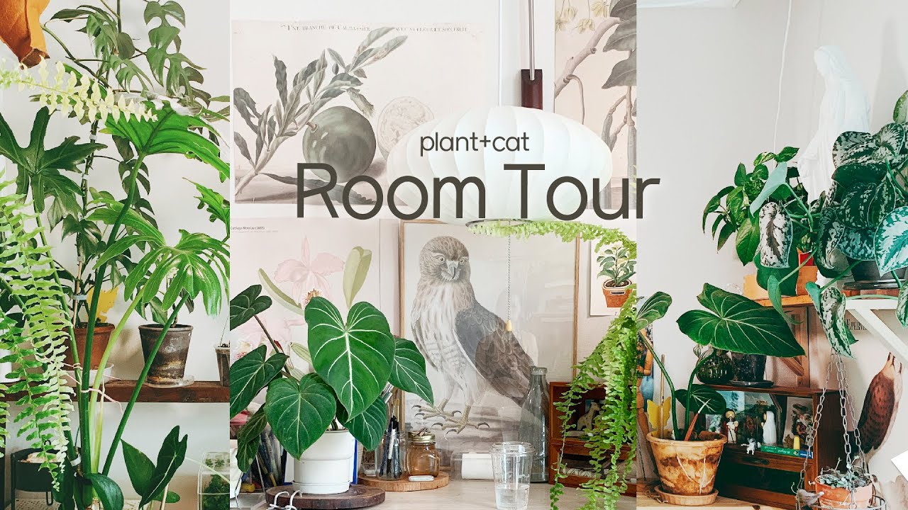 plant l room tour l  식물방룸투어 /선반, 벽 활용법