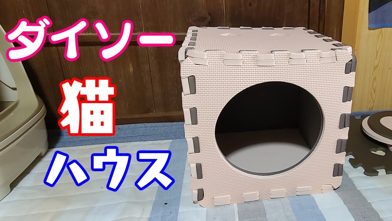 ダイソー 猫 ハウス