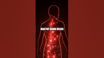 The Hidden Language of Extracellular Vesicles Healing