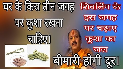 घर में किस तीन जगह कुशा को रखना चाहिए ।#प्रदीप मीश्रा बडी से बड़ी बीमारी कुशा के जल का  अचूक उपाय।