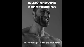 Lab #2 - Basic Arduino Programming Profile