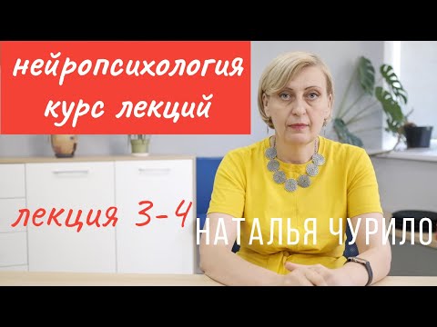 Нарушение ВПФ при локальных поражениях отделов мозга  || лекция 3-4/10 || Наталья Чурило