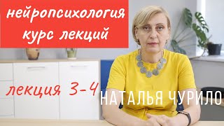 Нарушение ВПФ при локальных поражениях отделов мозга || лекция 3-4/10 || Наталья Чурило