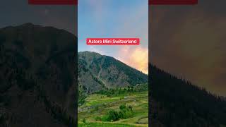Mini Switzerland Astore valley❤️🇵🇰 #mountains #discoverpakistan #explorepakistan