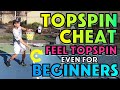 Pickleball topspin cheat how to hit topspin even for beginners