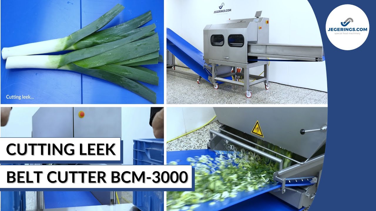 Desk top Green Onion Shredder Leek Cutting Machine 