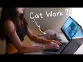Can Working with Cat improve your work efficiency?  Dual-Screen Laptop Monitors