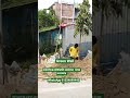 নবাবগঞ্জে আমাদের এই বাউন্ডারি ওয়ার্ল্ড এর কাজটি চলমান রয়েছে #subscribe #construction #viruls