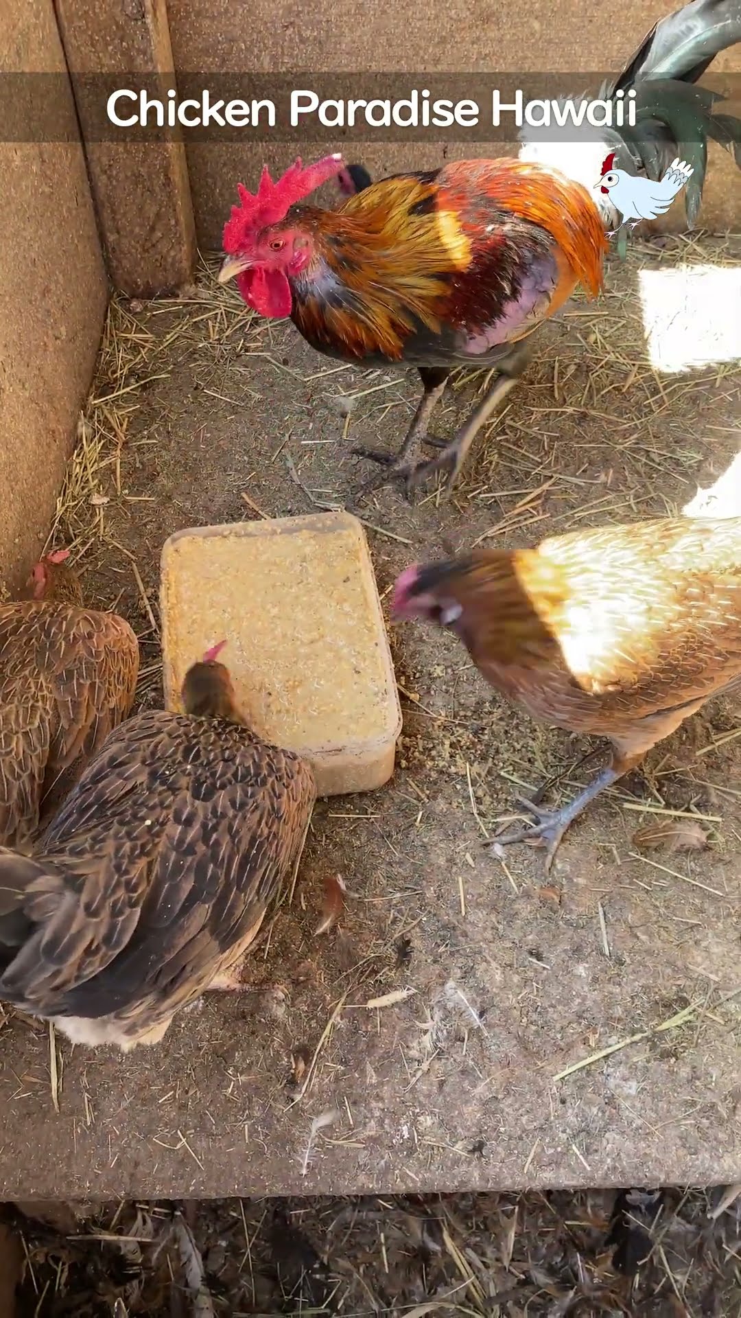 Mealtime has an order