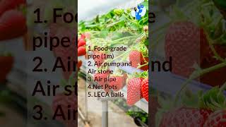 Hydroponic Masterclass | +91-9870424425 screenshot 1