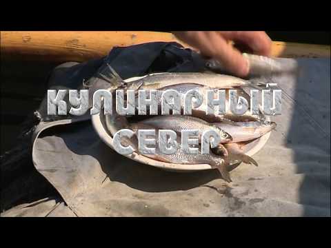 Сосьвинская селедка (Кремлевская)