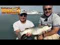 Trabucco TV - Back to the Feeder - Feeder in mare