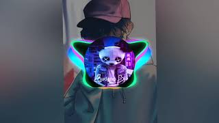 DJ TAPI BOONG PAPALI FULL BASS