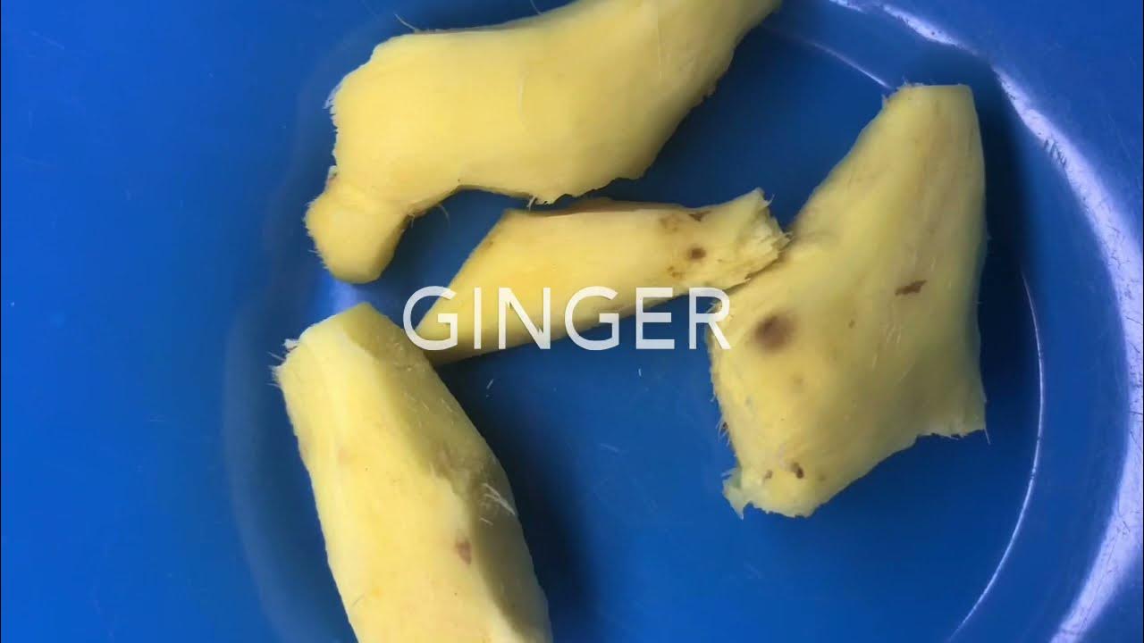 How to make Tigernut drink YouTube