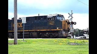Boom! CSX train takes out crossing arm resulting in a traffic slow down!