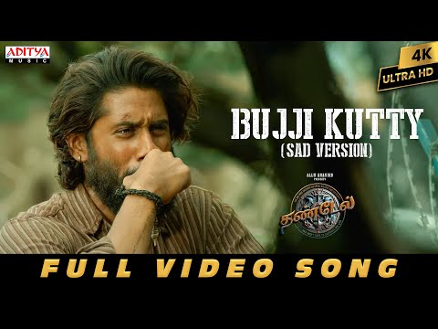 Bujji Kutty (Sad Version) Video | Thandel |Naga Chaitanya, Sai Pallavi | Javed Ali |Devi Sri Prasad