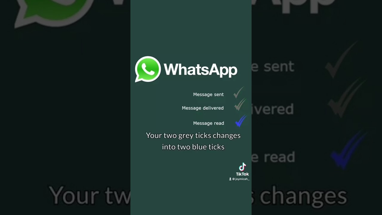 Why WhatsApp shows 1 grey tick 