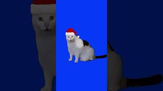 huh cat meme Christmas #catmusic #huh #confused #whitecat #soundeffects #cutecat #flp_project