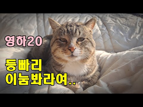 [귀촌귀농] <strong>영하20도</strong> 개춥다, 고등어 이놈