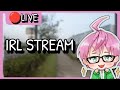 [LIVE] cobain irl stream pake setup seadanya