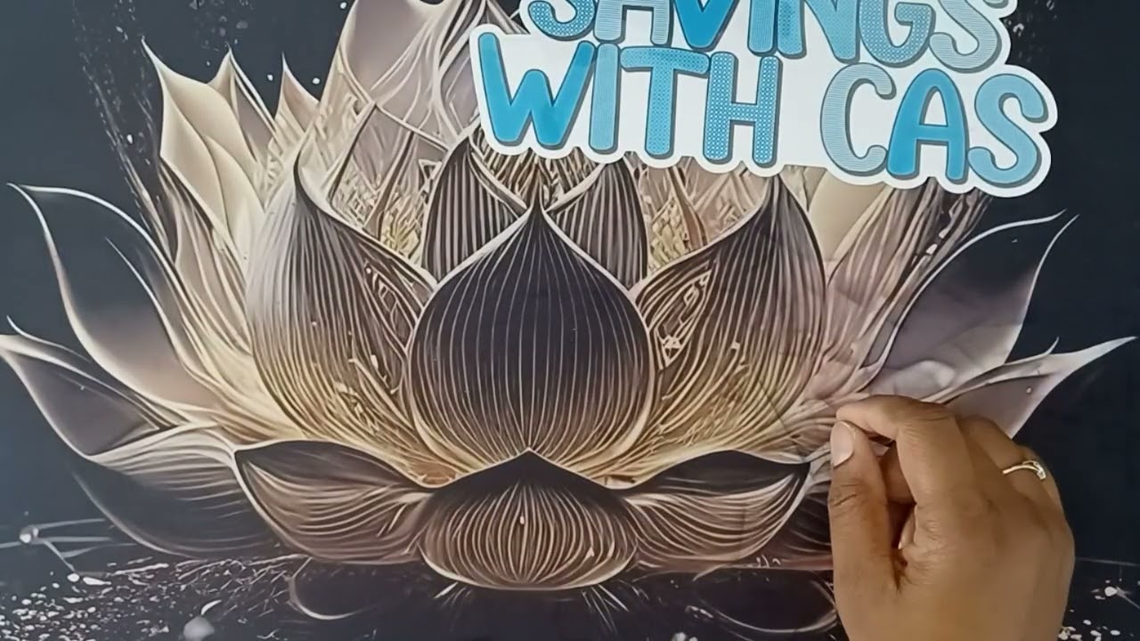 Home Box / Car Binder / 100 envelope Challenges🚘🏠🏥🩵💙