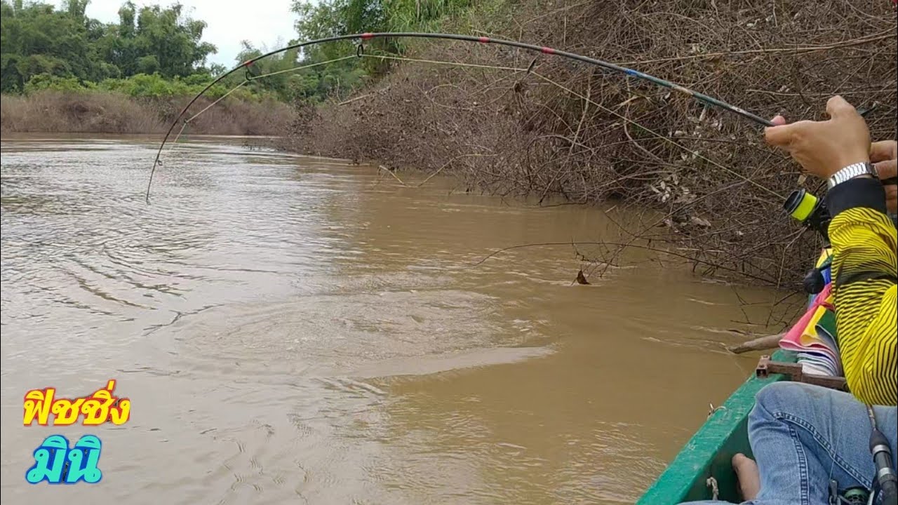 EP.83ตกปลากด 😍 ยักษ์ใหญ่หน้าหนาว..  😱โดนทีร้าวไปทั้งคัน ฟิชชิ่งมินิ.