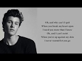 Shawn Mendes - Perfectly Wrong (lyrics)