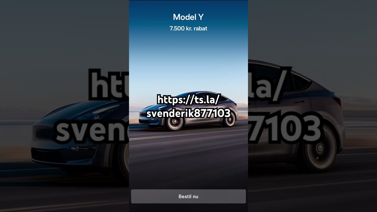 Tesla henvisningskode 2024