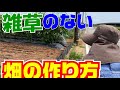 【雑草のない畑のために】【畑に除草剤は使いません】私はこうしています。雑草対策