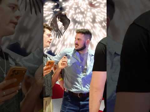 Asking Americans in Austin about the USA