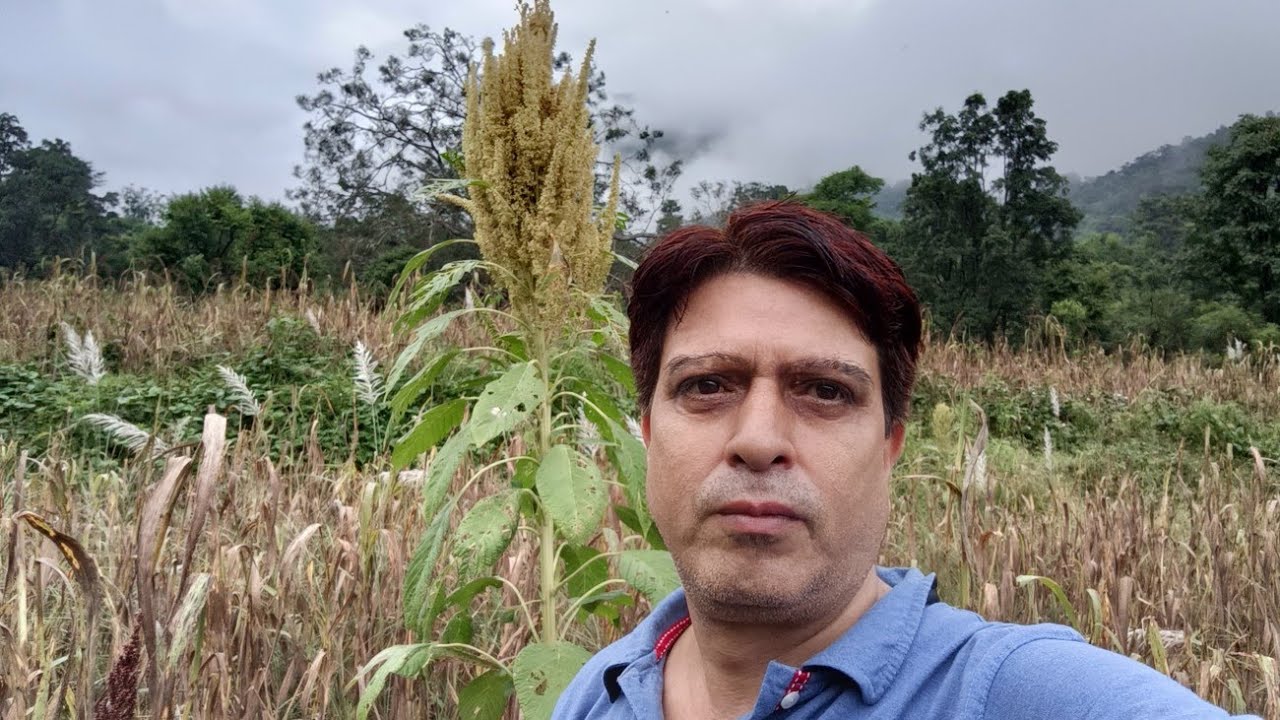 Morning Walk 🌄🚶|झंगोरा का खेत | सुंदर फूल 💮💮🪻🌳 रुद्रप्रयाग उत्तराखंड |