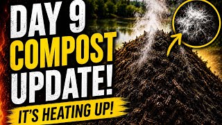 My Compost Pile Just Changed BIG TIME… (Day 9 Update)