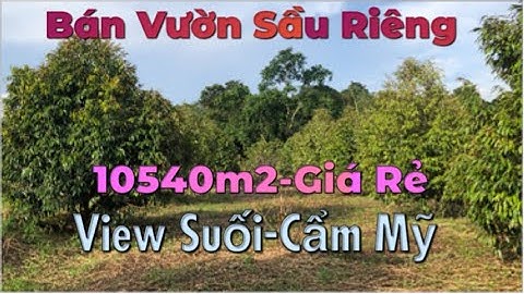 Bán Vườn Sầu Riêng View Suối  - Giá Rẻ - 10540m2  Tại Xã Bảo Bình Cẩm Mỹ - Đồng Nai | nhà đất đnb
