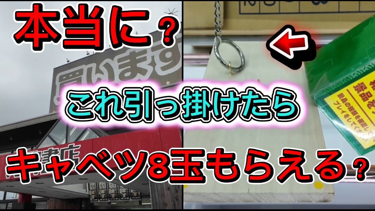 【大勝負】フック設定で一撃キャベツ８玉もらえるゲーセンがヤバすぎた　万代書店鈴鹿店#クレーンゲーム #ゲームセンター #ufoキャッチャー