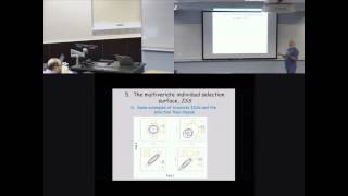 Selection as a surface (2014)