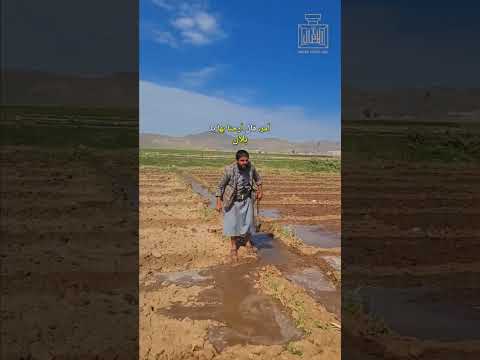 ربي يحفظك ويسعدك كيف حالك 