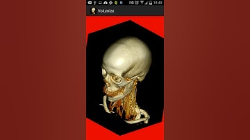 Volumize Volume Rendering on Android
