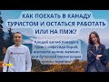 Поехать в Канаду туристом и остаться работать или на ПМЖ - запись эфира с переводом на узбекский