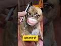 जय माता दी #funny #shilpisaroja #thetharpuns #comedyvideo
