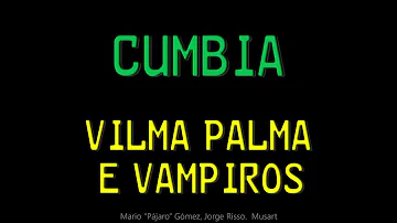 Cumbia - Vilma Palma E Vampiros (HD, 320kbps) w/lyrics letra