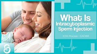 What Is Intracytoplasmic Sperm Injection (ICSI) | ICSI Process - CACRM