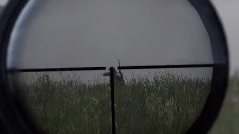 Slow-Mo SKS headshot |DayZ