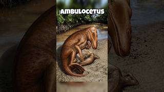 how animals looked before evolution #shorts #animals