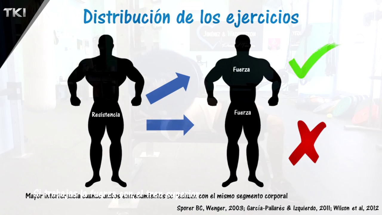 ¿GANAR MÚSCULO Y PERDER GRASA?🤔 Entrenamiento
