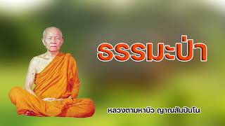 ธรรมะป่า หลวงตามหาบัว ญาณสัมปันโน